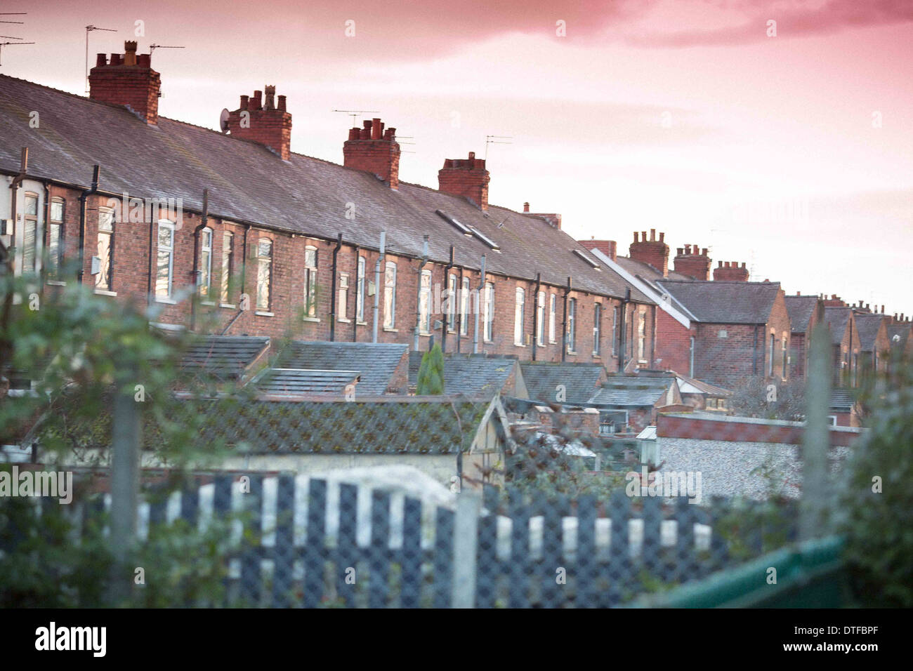 Northern England Tameside Manchester UK typical back yard view Stock Photo Alamy