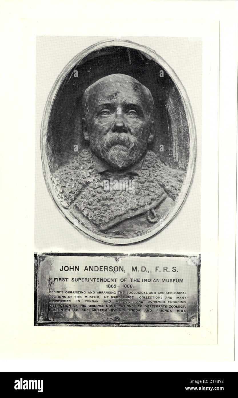 Dr John Anderson (18331900 Stock Photo Alamy