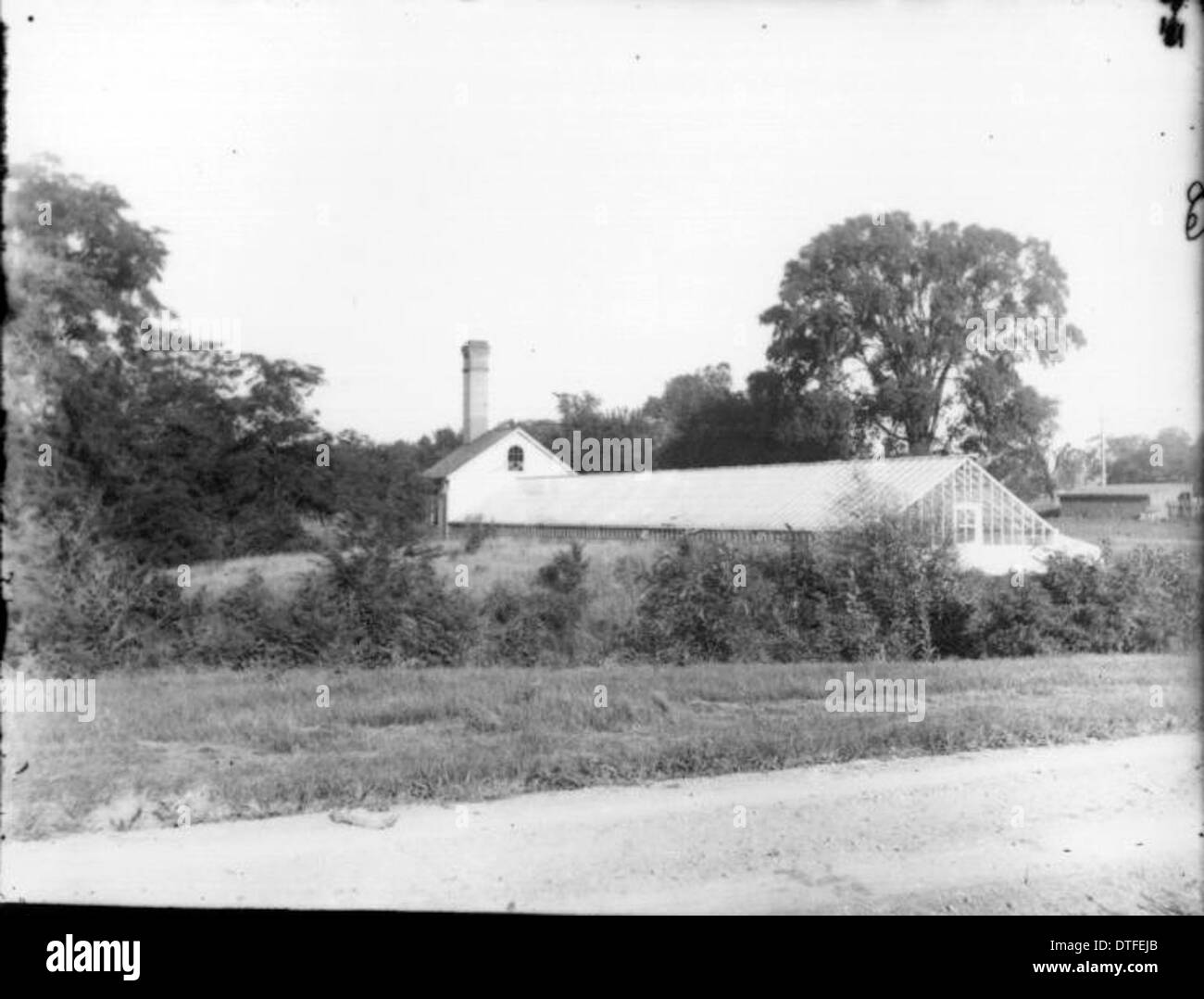 Greenhouse behind Fisher Hall, Miami University n.d Stock Photo - Alamy