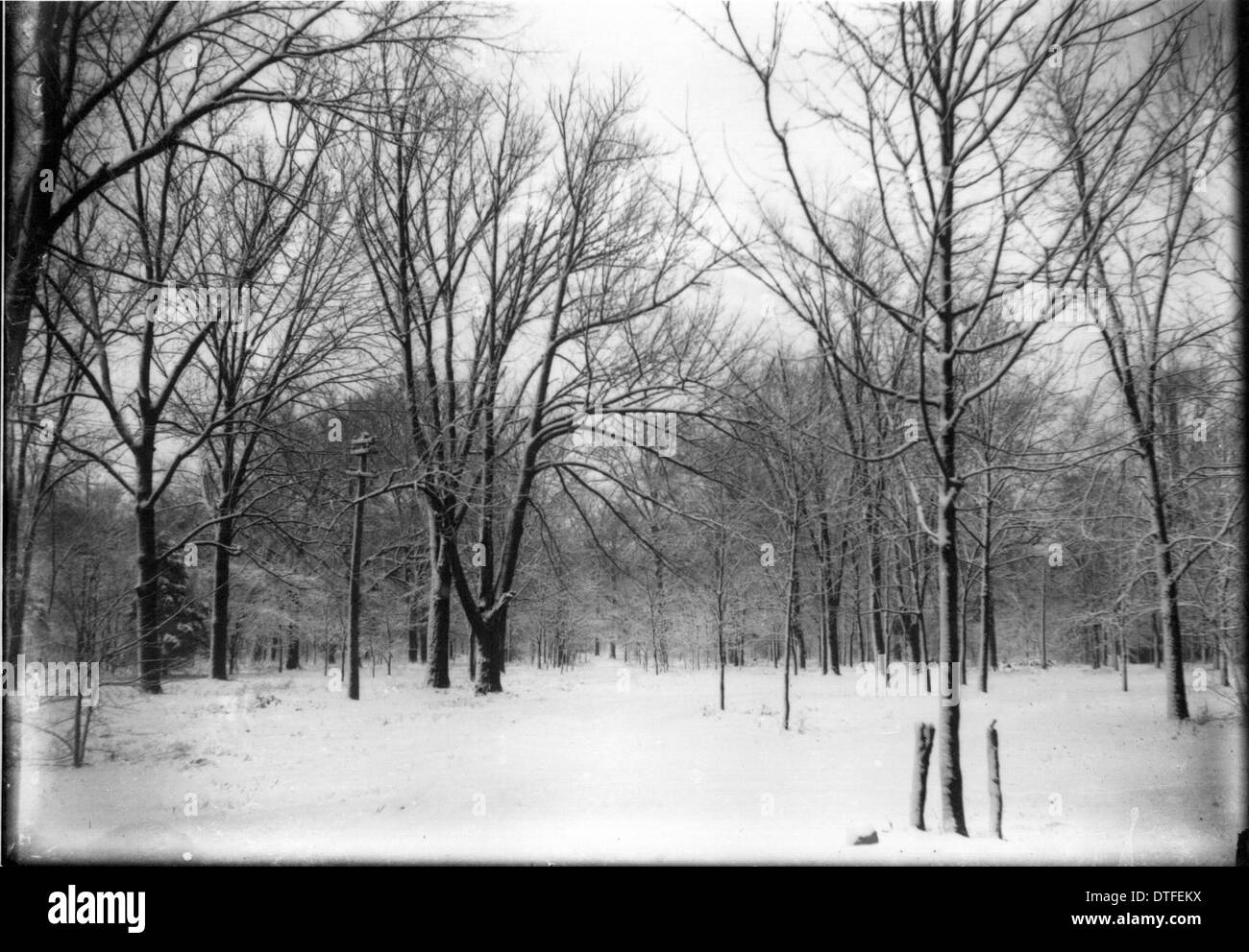 Snowcovered wooded area on the Miami University campus n.d Stock Photo