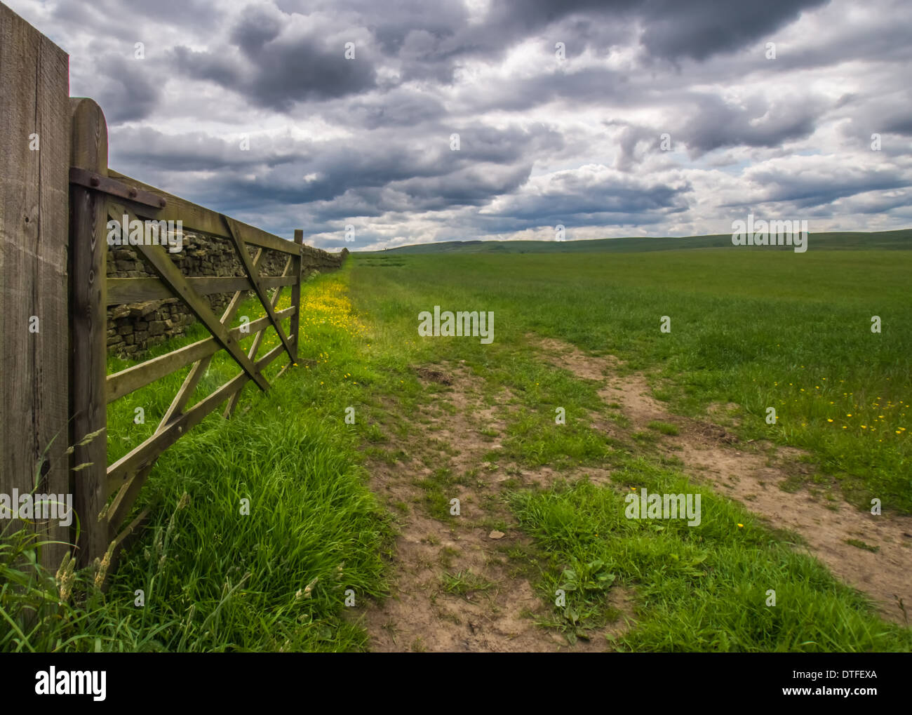 Open Farm Gate Into A Green Field Stock Photo