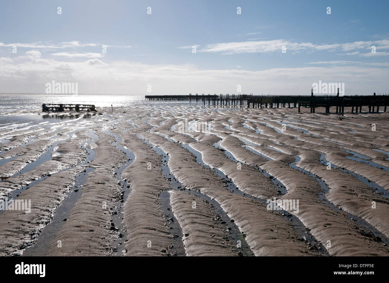 oyster beds, agon coutainville beach, normandy, france Stock Photo