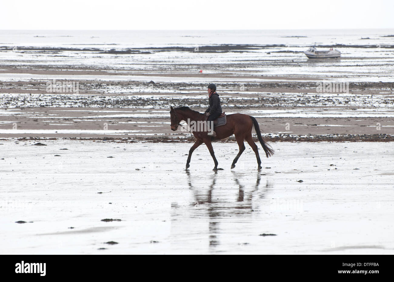 French Horse Rider High Resolution Stock Photography and Images Alamy