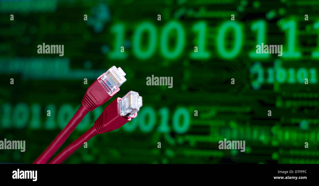 A a picture shows a network cable placed in front of a computer screen