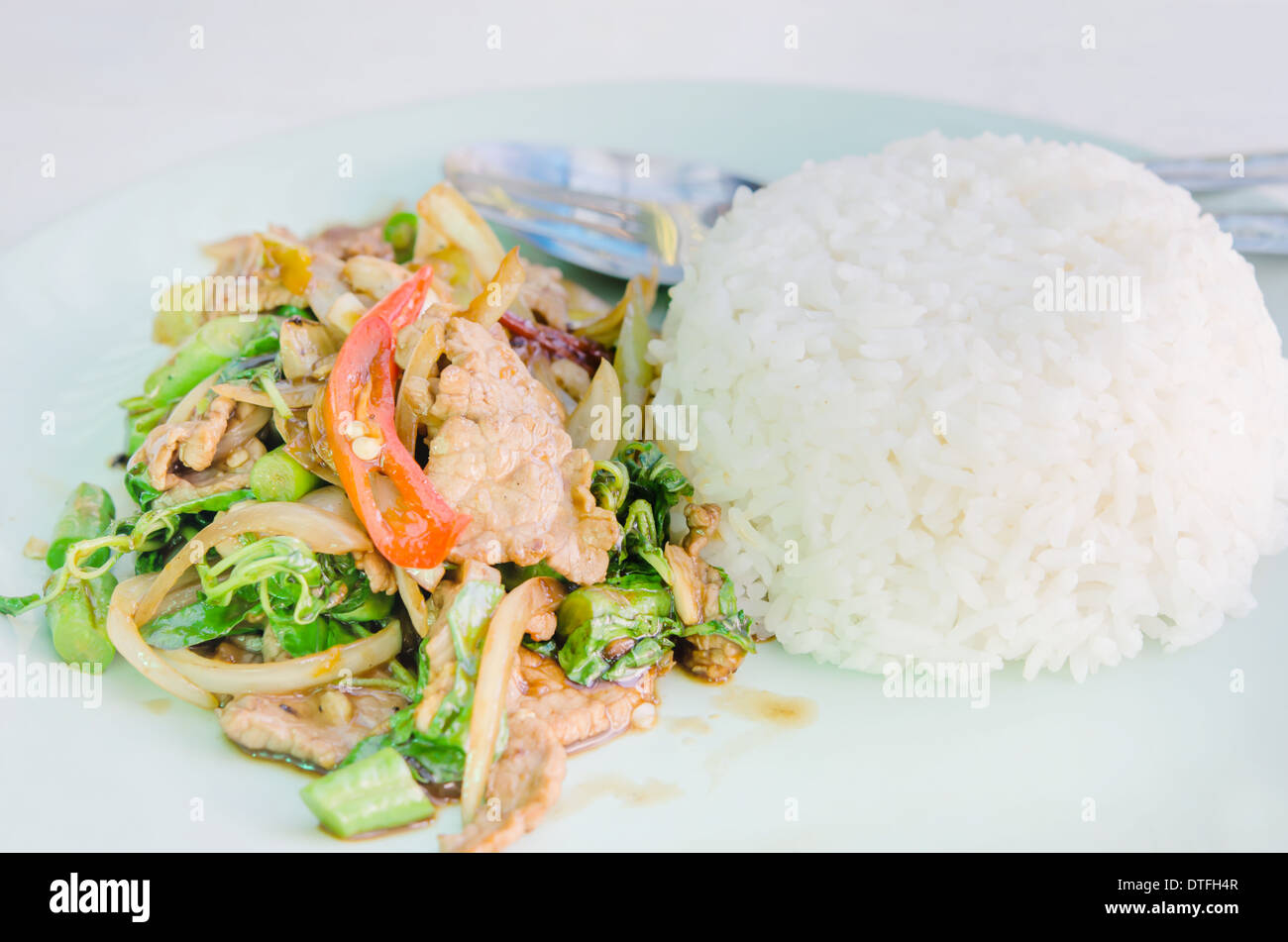 stir fried beef , curry sauce and vegetable served with steamed rice Stock Photo