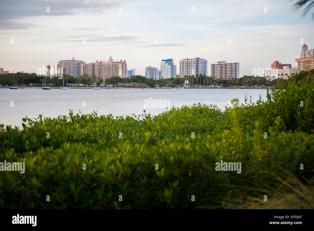 USA Florida Sarasota FL skyline on Sarasota Bay high rise condos condominiums apartments and offices Stock Photo