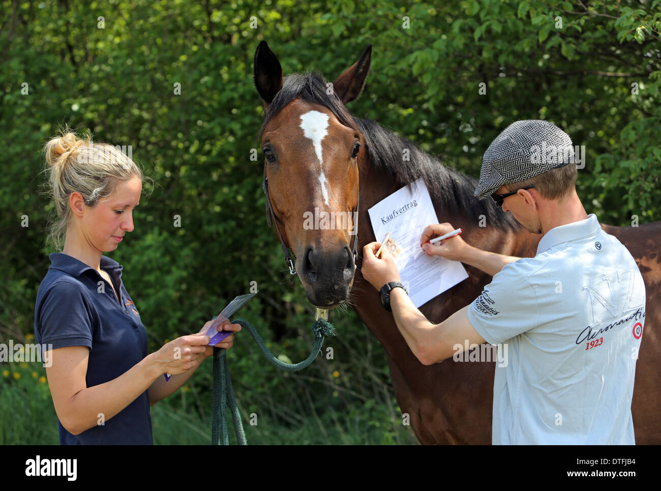 Koenigs Wusterhausen, Germany, man signed the purchase agreement for a horse Stock Photo