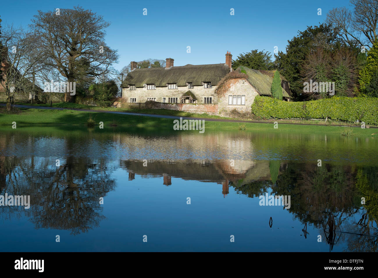 Ashmore in Dorset and its distinctive village pond Stock Photo Alamy