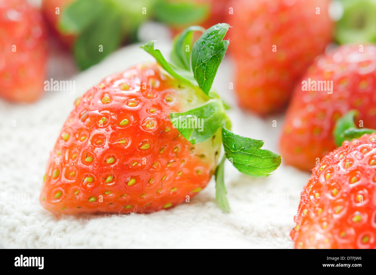 Strawberries red juicy ripe berry hi-res stock photography and images ...