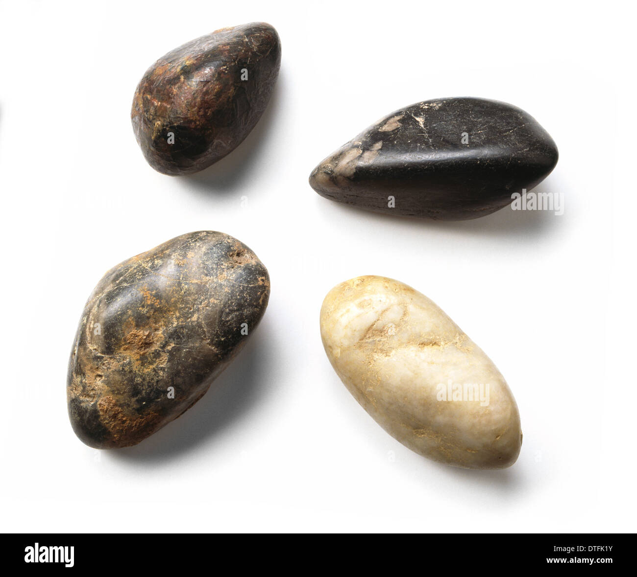 Gastroliths, Stomach stones Stock Photo