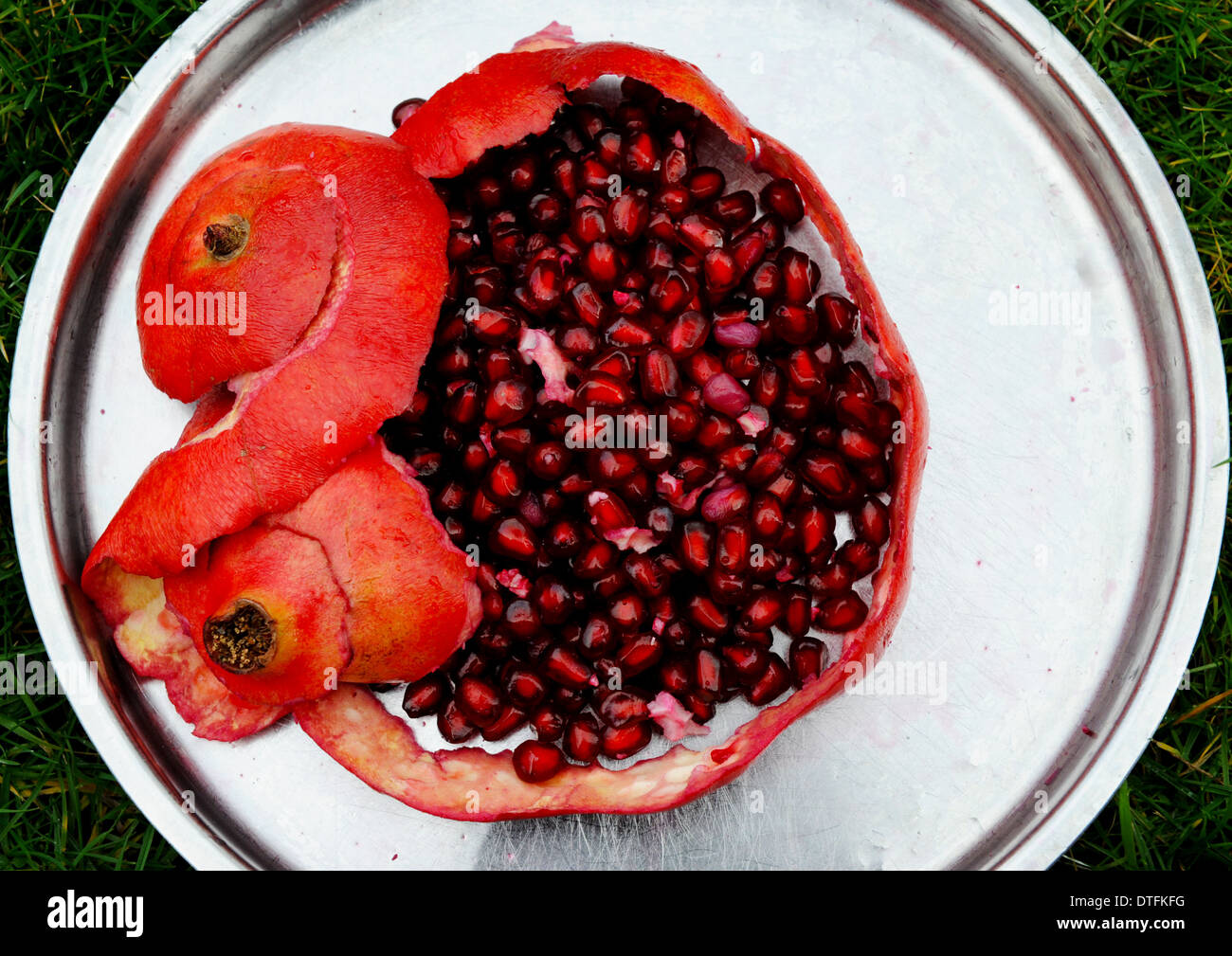 Ruby red pomegranate fruit in peeled skin showing rich deep red seeds covered with juicy sweet pulp. Stock Photo