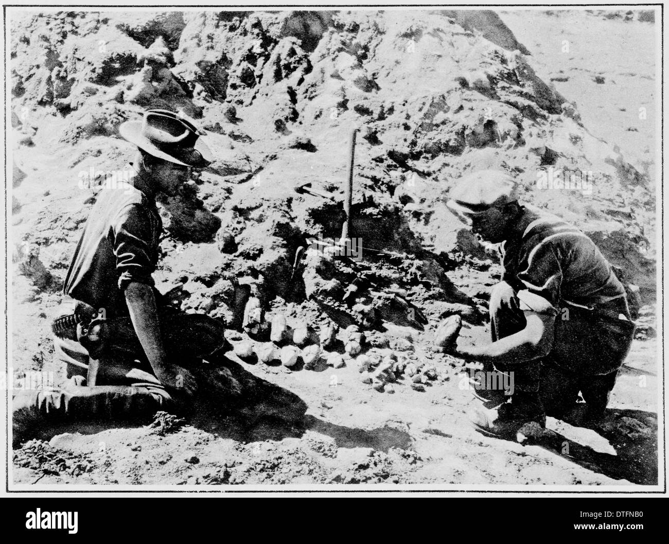 Dinosaur egg excavation, 1925 Stock Photo