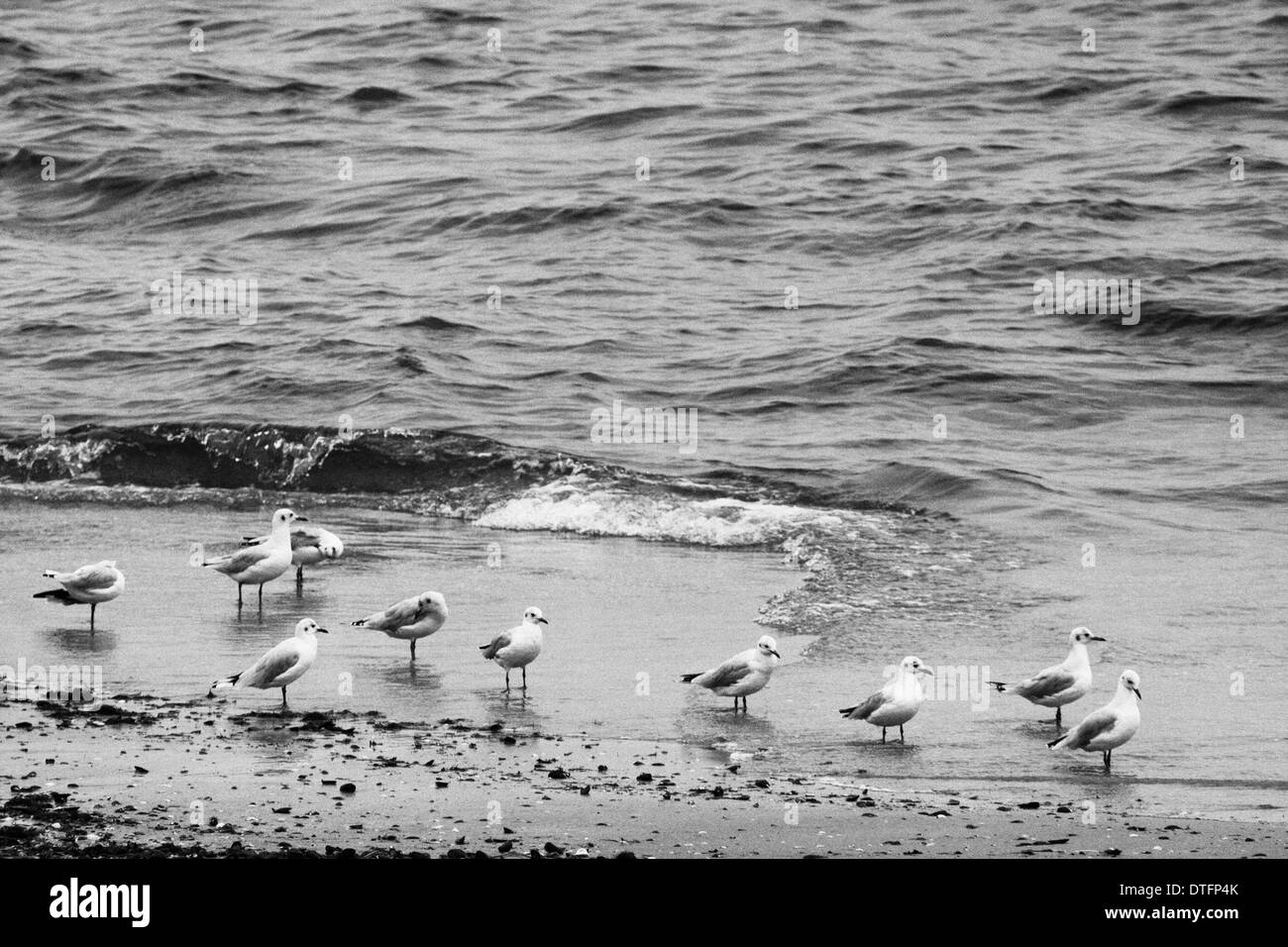 Photo taken in Punta del Este, Montevideo Stock Photo