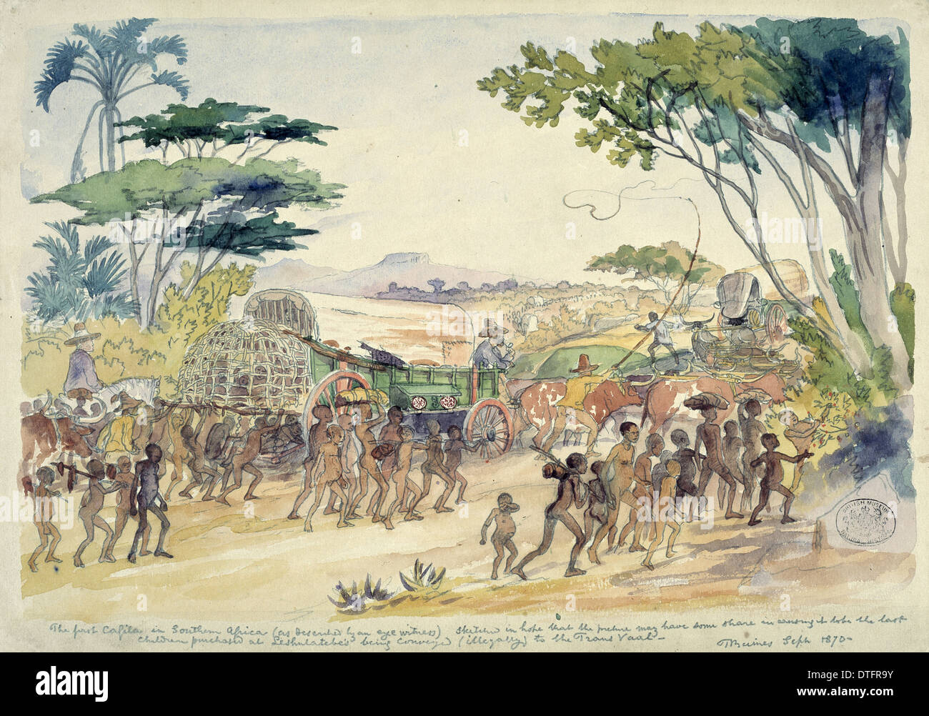 The first Cagila in Southern Africa Stock Photo