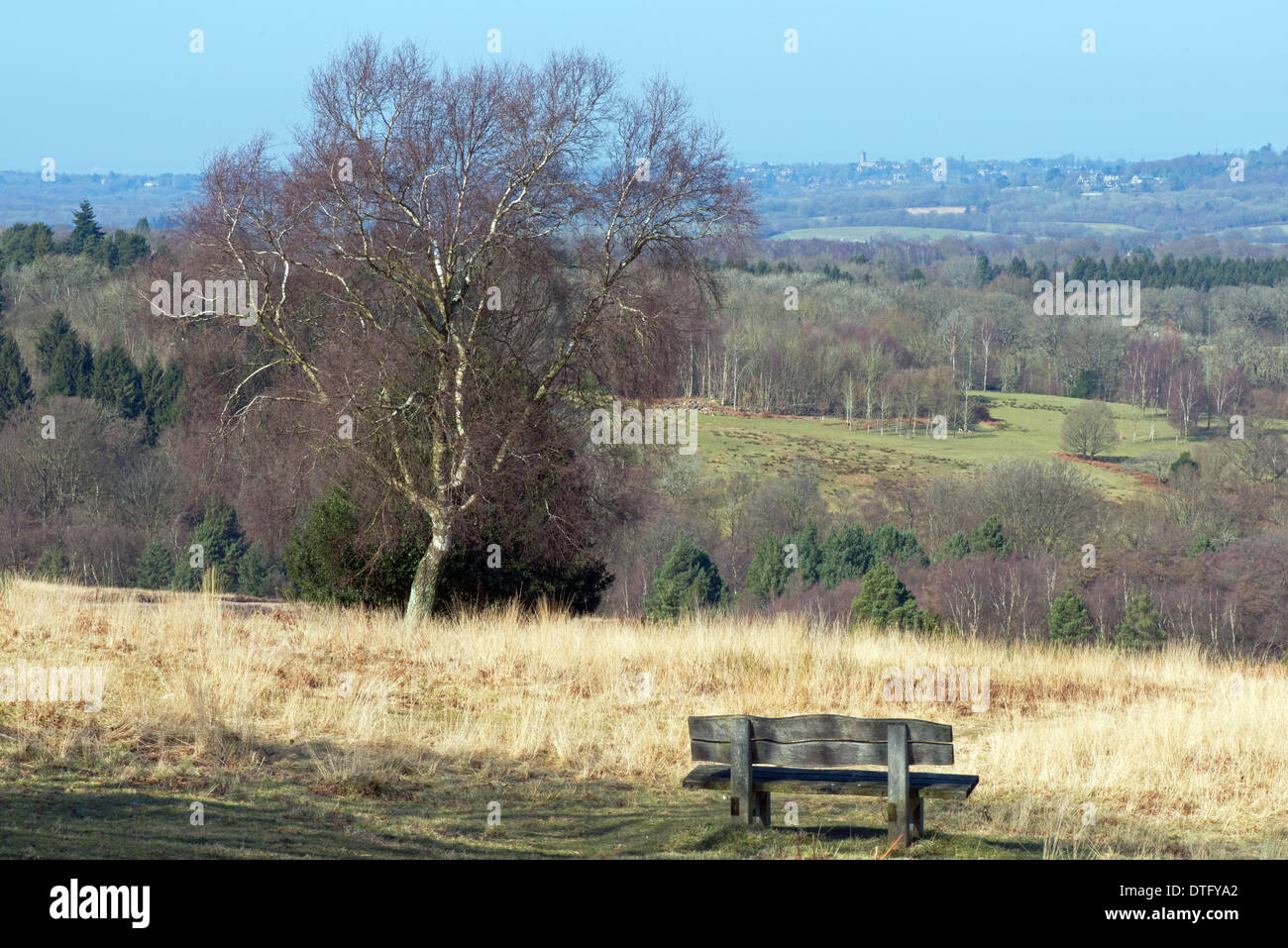 The Adshdown Forest, East Sussex, England, Uk, Winter. Stock Photo
