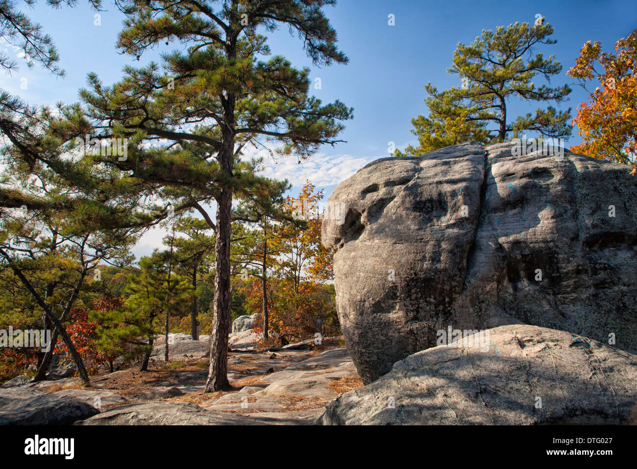 Pickle Springs Natural Area - Dome Rock in Missouri Stock Photo