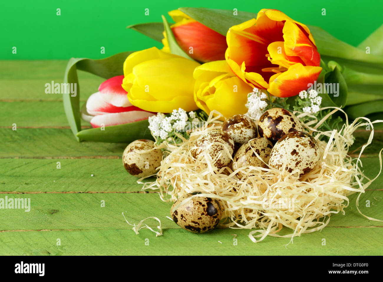 Easter still life with spring flowers tulips and quail eggs on a wooden ...