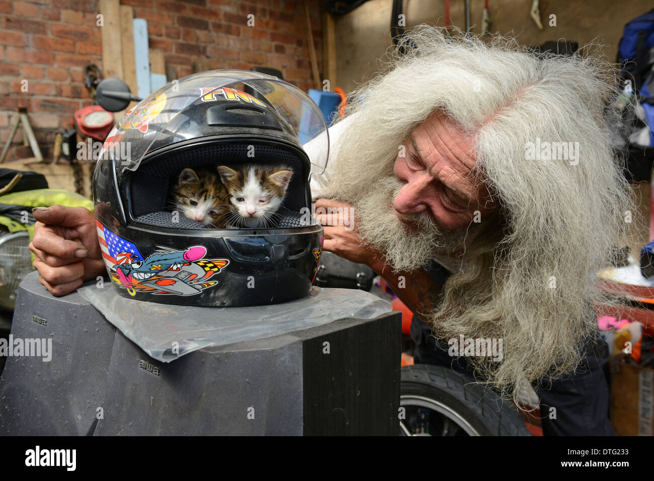 Man with long hair and beard John Julian with two kittens he found in his shed inside his motorcycle helmet. kind animal lovers kitten rescue rescued Stock Photo