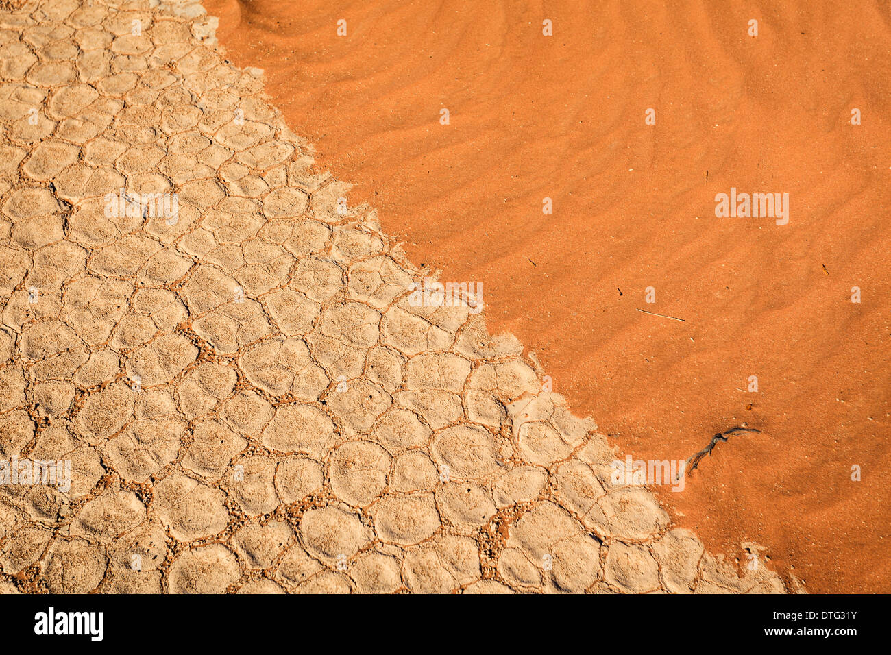 Dry cracked white mud pattern in ancient lake bed in old oasis in