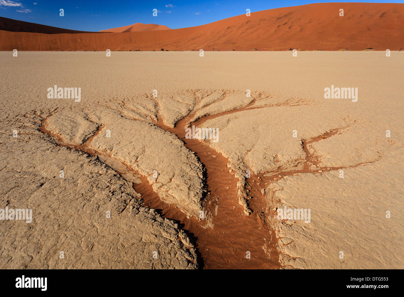 Ancient water flows have left tree shaped drainage tracks in the hard baked salt covered Namibian desert mud. Stock Photo