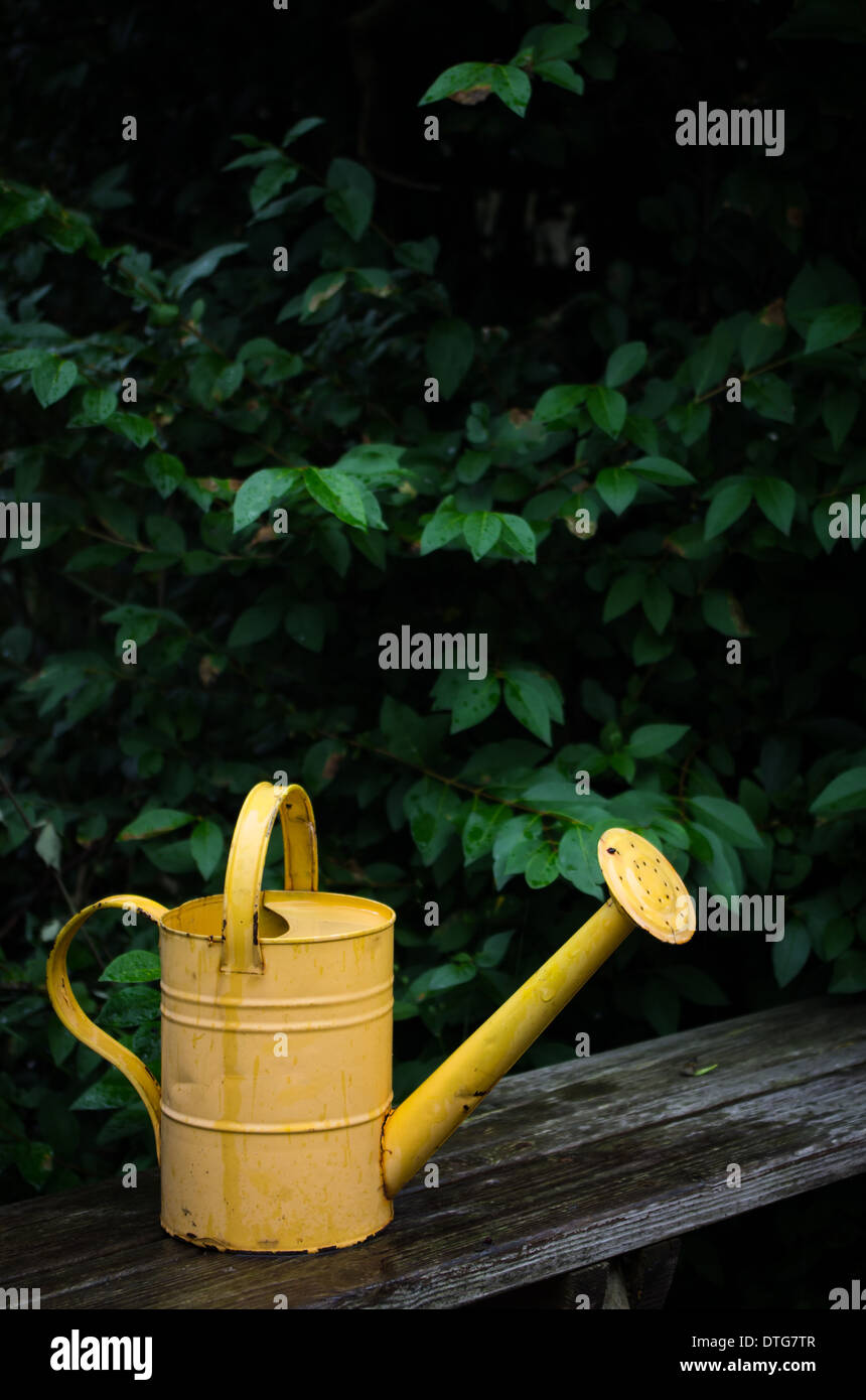 A weathered watering can taken in a schools garden area. Stock Photo