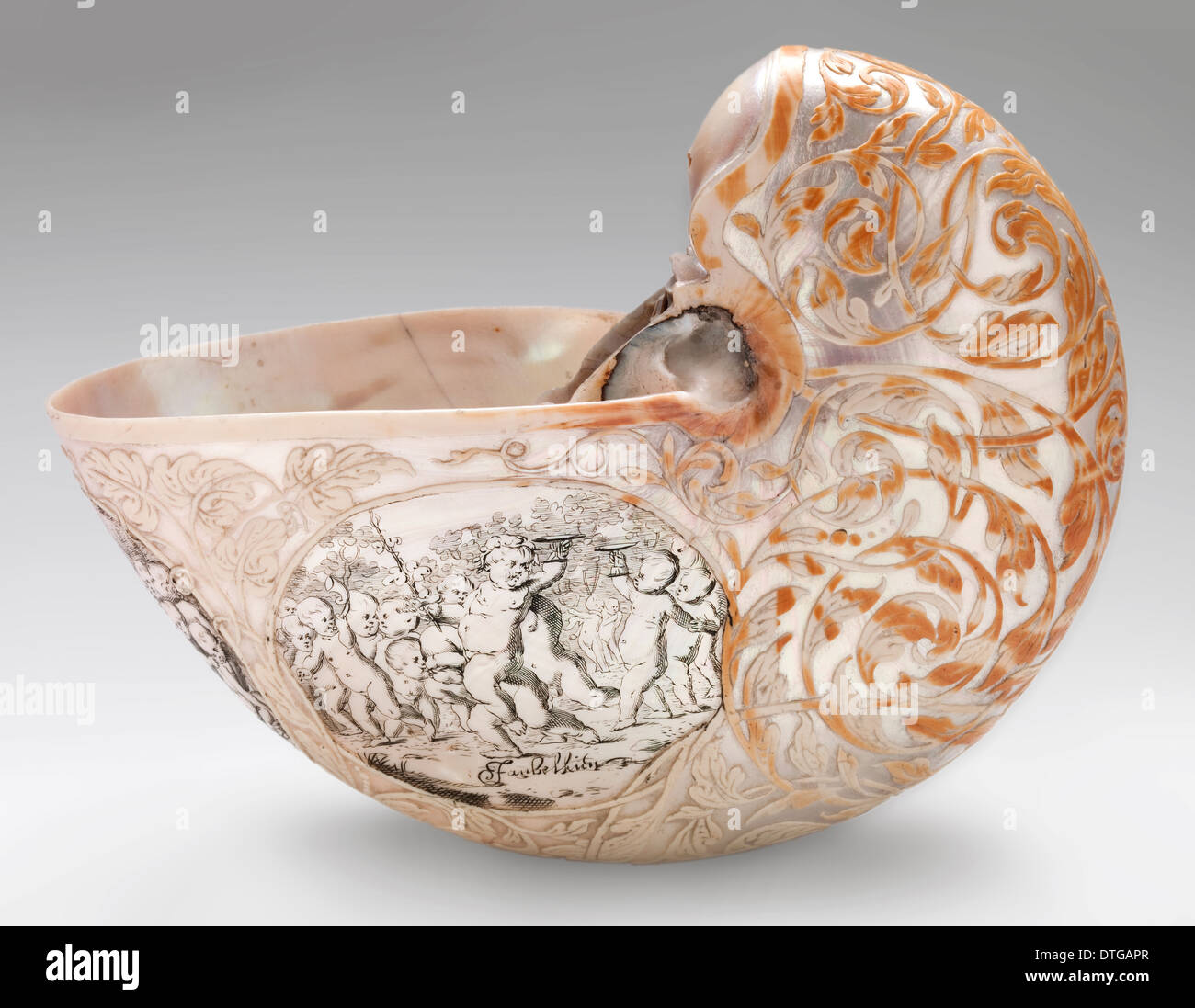 Hans Sloane’s nautilus shell Stock Photo