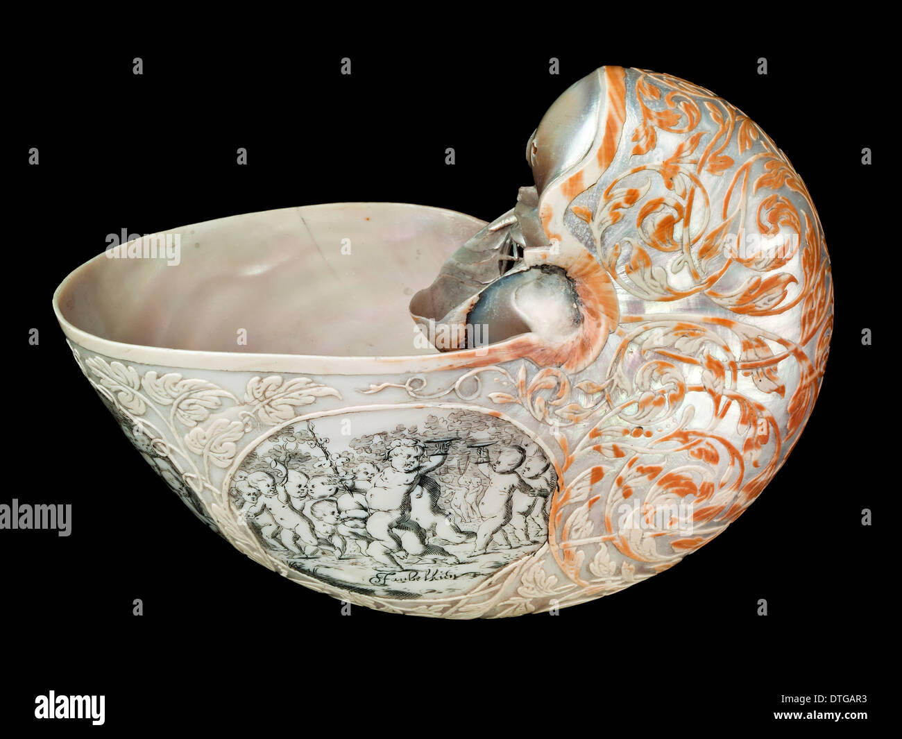 Hans Sloane’s nautilus shell Stock Photo