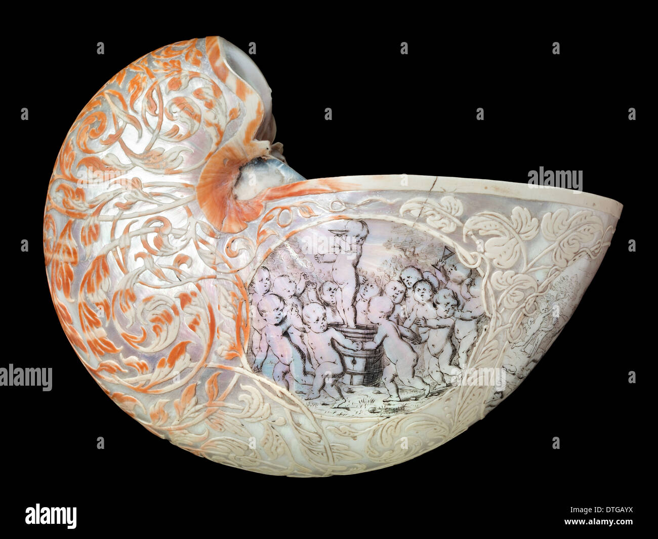 Hans Sloane’s nautilus shell Stock Photo