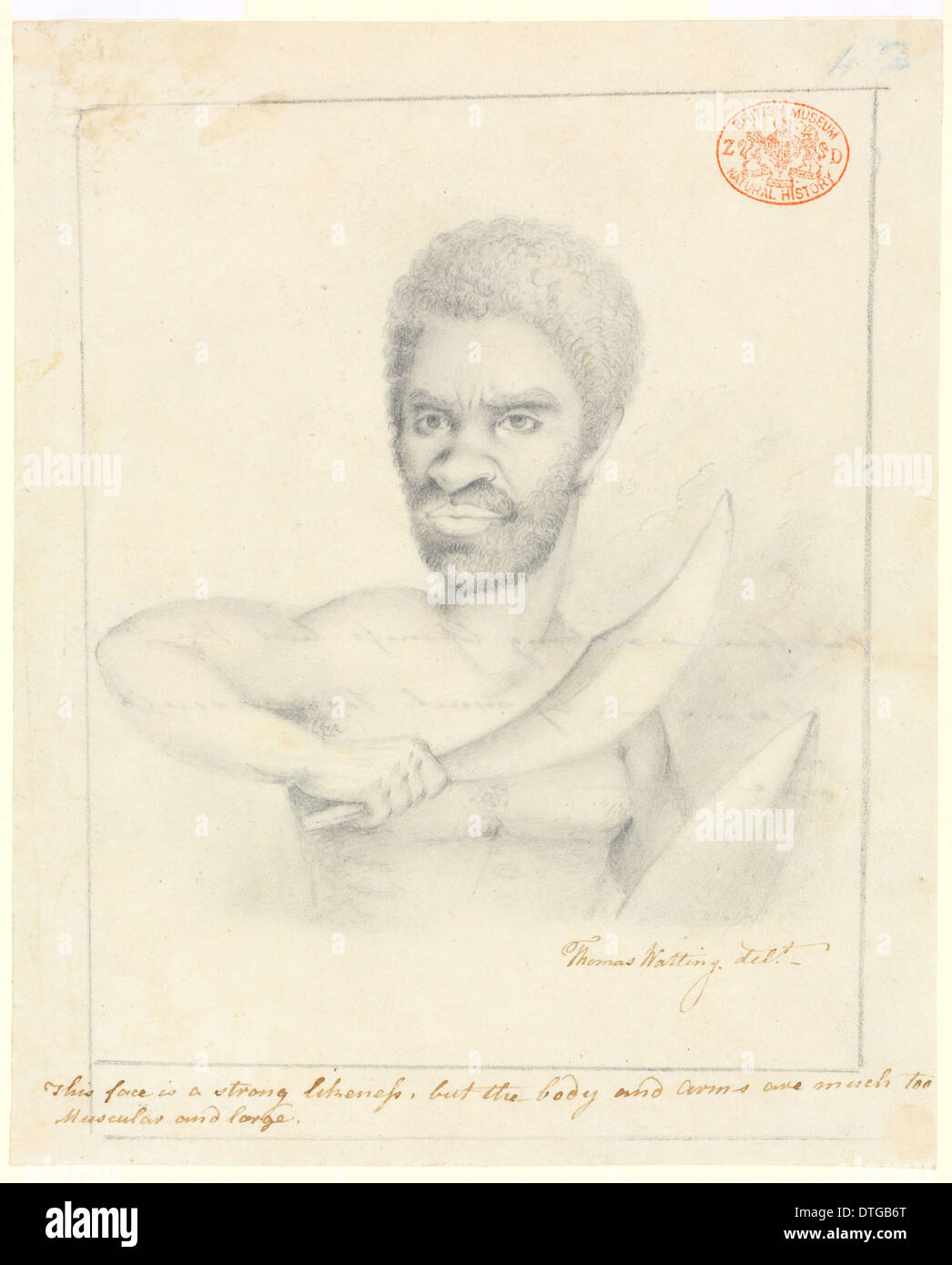 Portrait of an Aboriginal man Stock Photo
