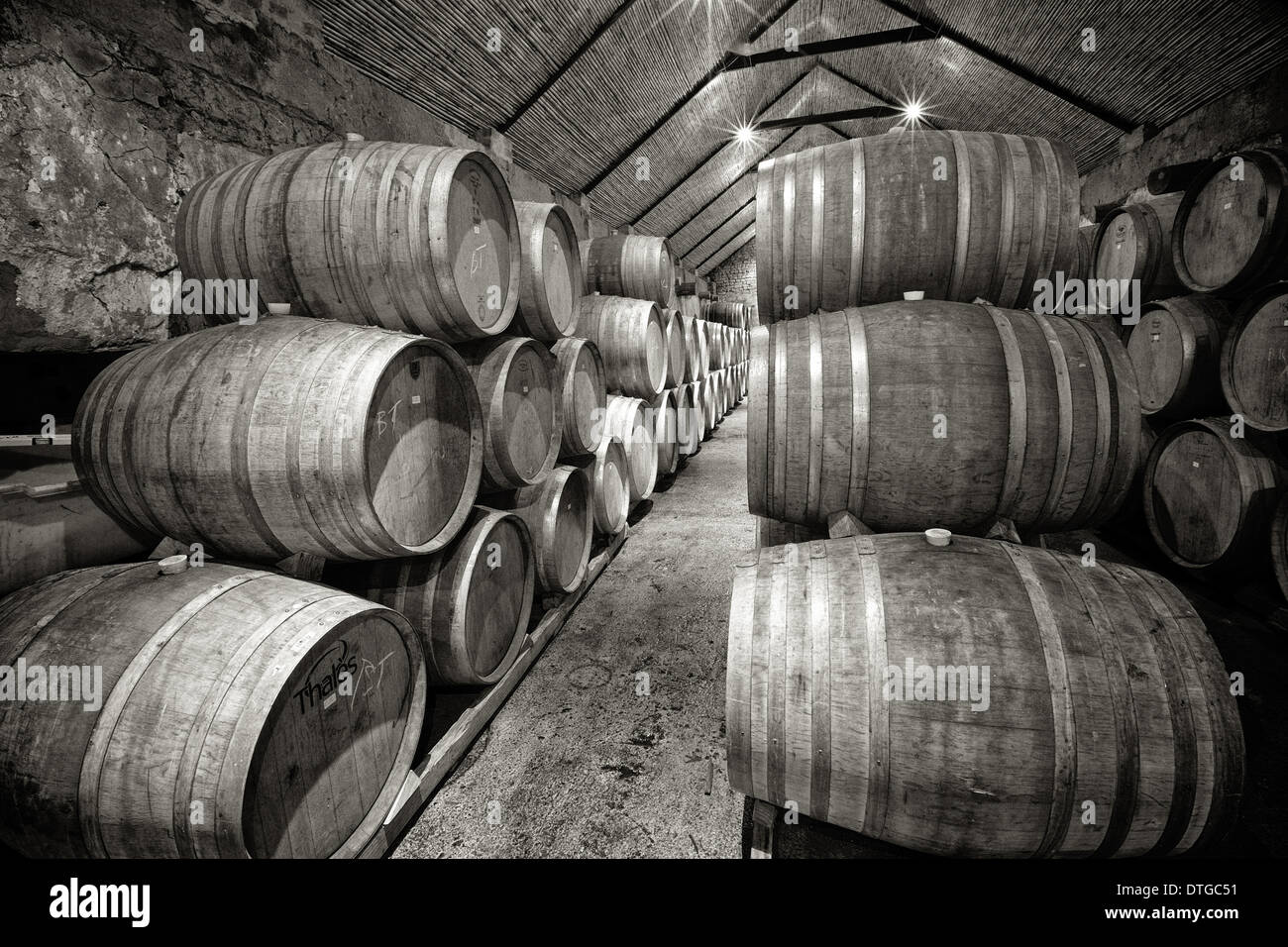 French oak barrels in the wine cellar at Vondeling Wines in the Paarl