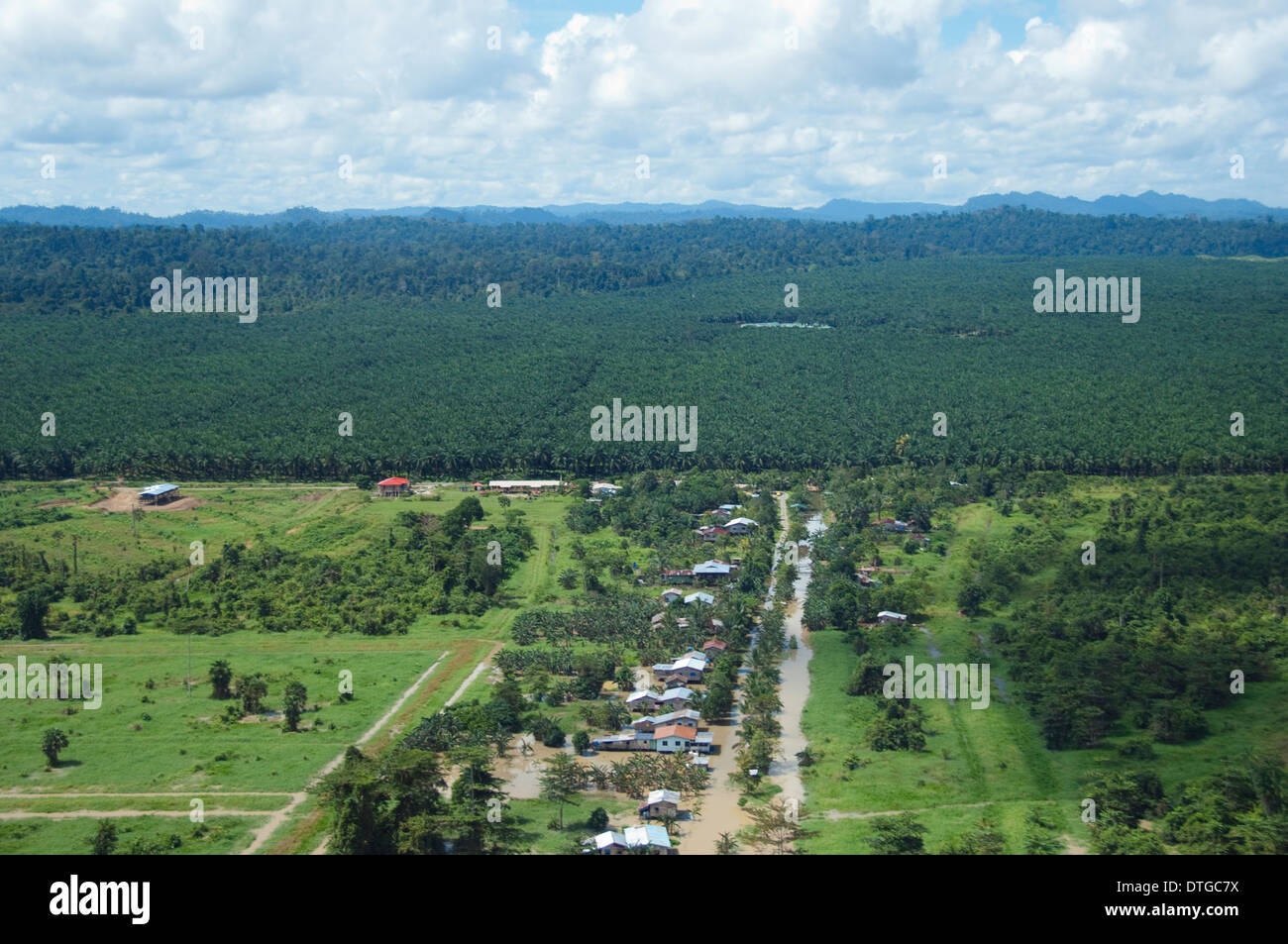 Aerial of small village by an Oil Palm plantation, Kinabatangan, Sabah, Malaysia Stock Photo