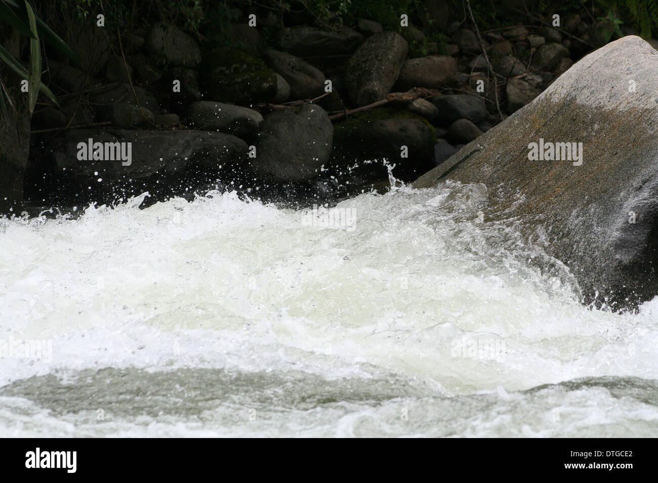 Whitewater rapids on the Intag River in  the Intag region of Ecuador Stock Photo