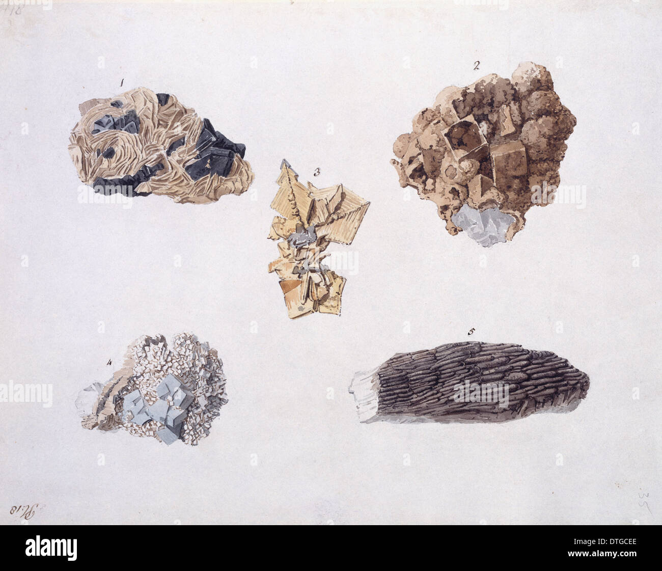 Plate 18 from Specimens of British Minerals? vol. 1 by P. Rashleigh (1797) Stock Photo