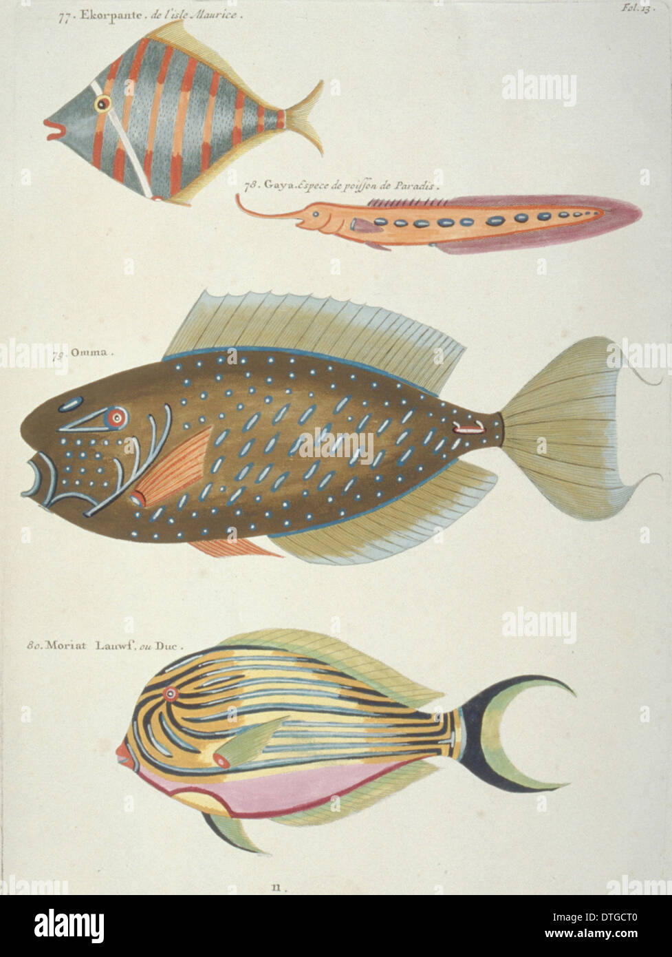 Colourful illustration of four fish Stock Photo