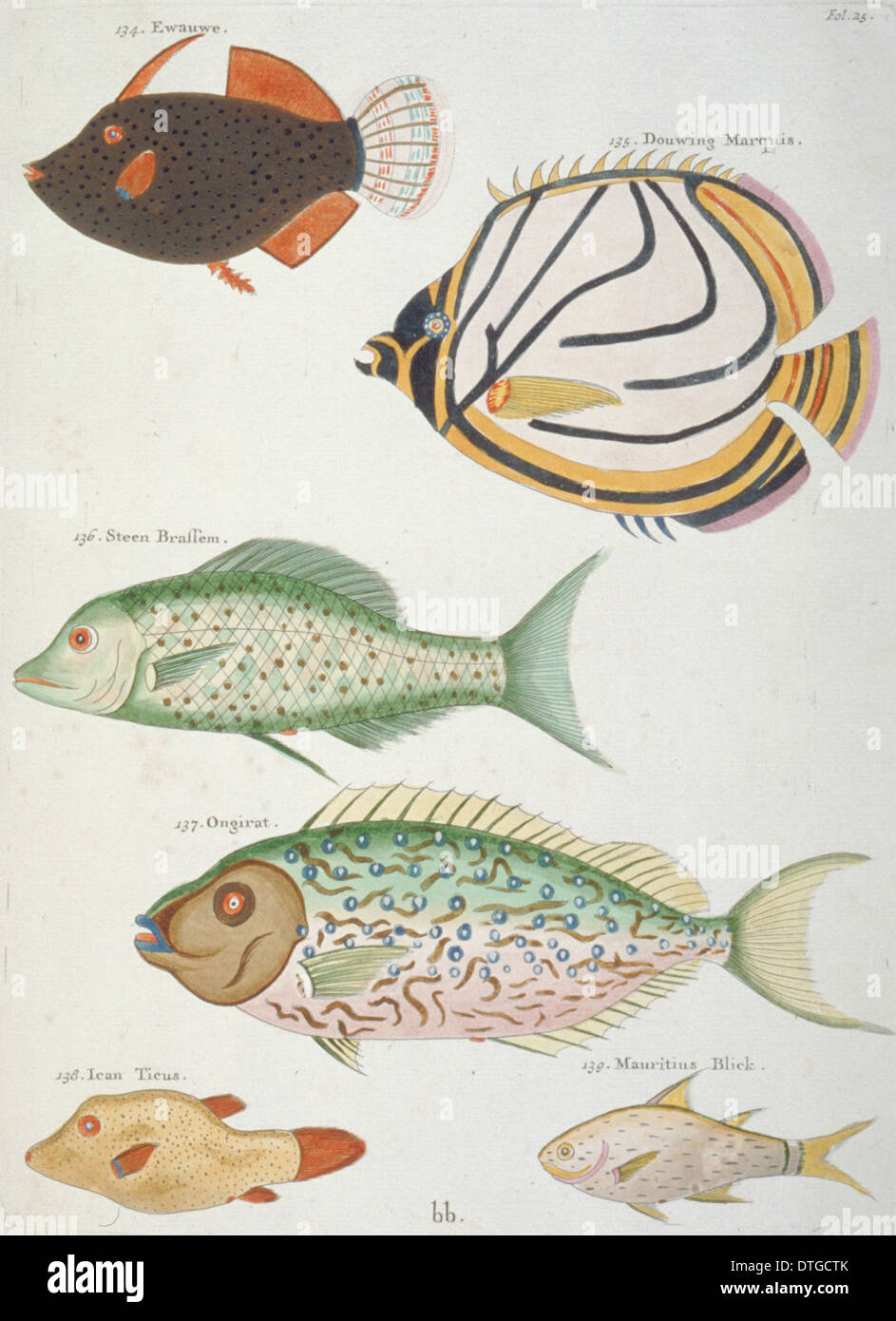 Colourful illustration of six fish Stock Photo