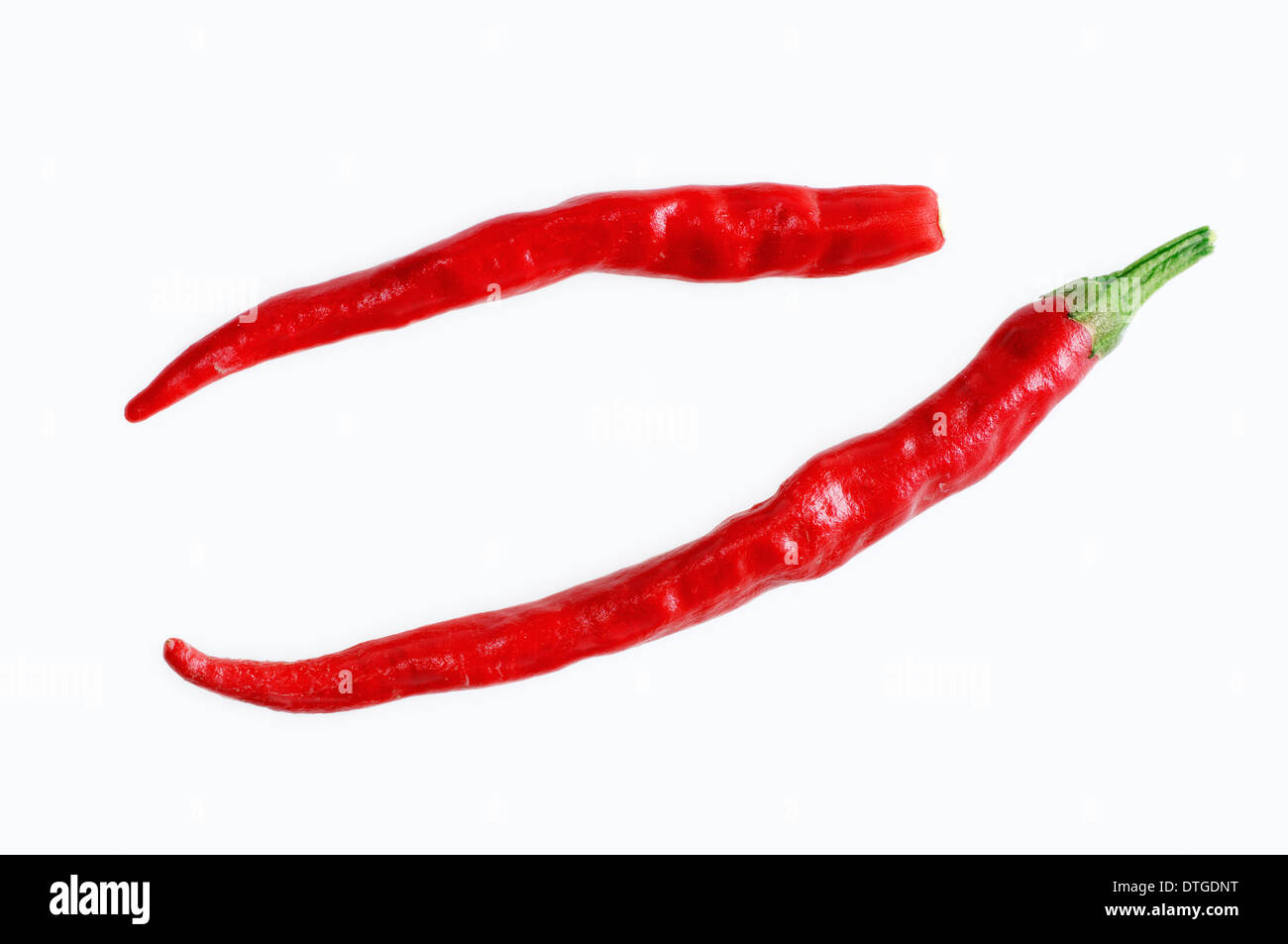 Hot Chili, Chili, Cayenne, Chili Pepper or Tabasco Pepper (Capsicum frutescens) Stock Photo