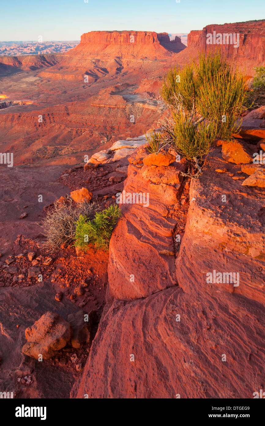 Monument Basin at sunrise from White Rim Overlook, Canyonlands National