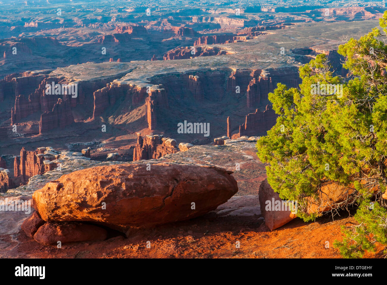Monument Basin at sunrise from White Rim Overlook, Canyonlands National