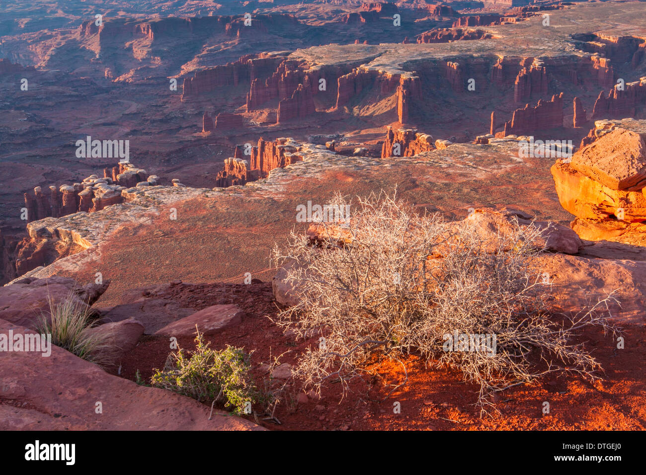 Monument Basin at sunrise from White Rim Overlook, Canyonlands National