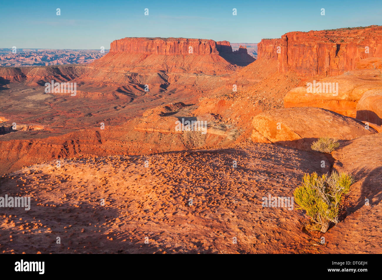 Monument Basin at sunrise from White Rim Overlook, Canyonlands National