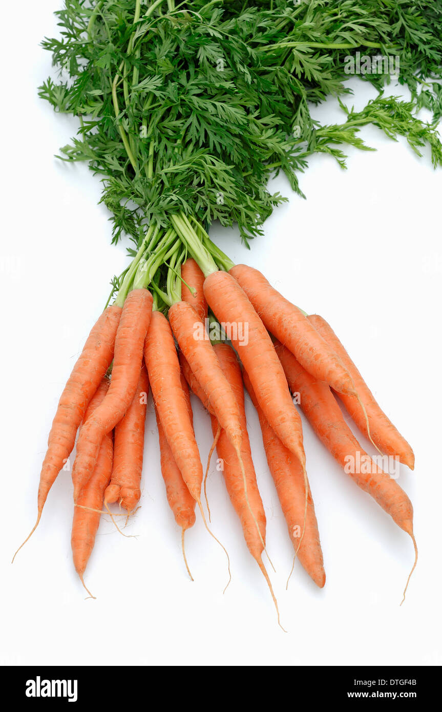Carrots (Daucus carota subsp. sativus) Stock Photo