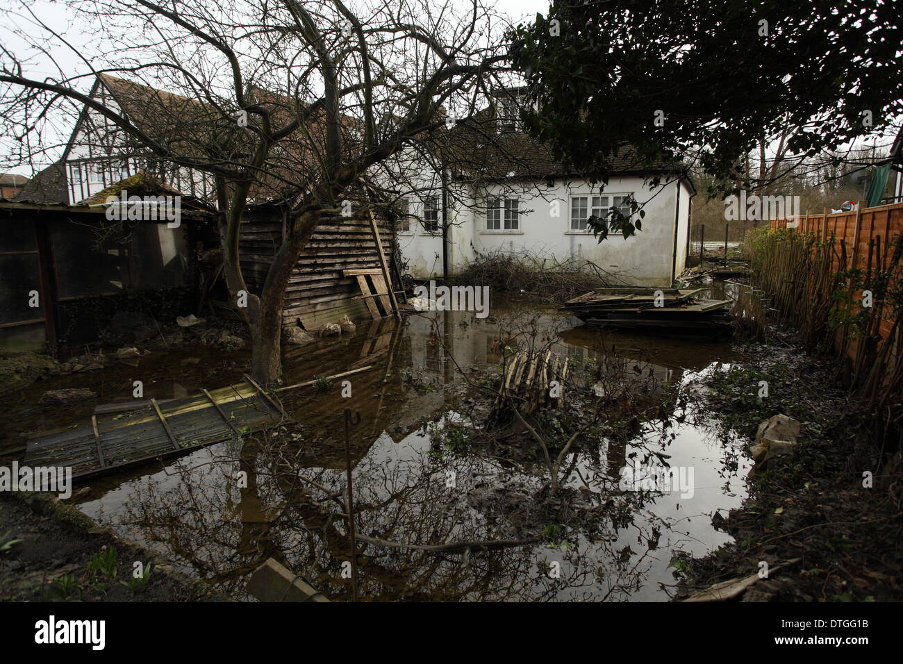 Ham Island, Thames Valley, UK Flood waters surround homes and gardens. Stock Photo