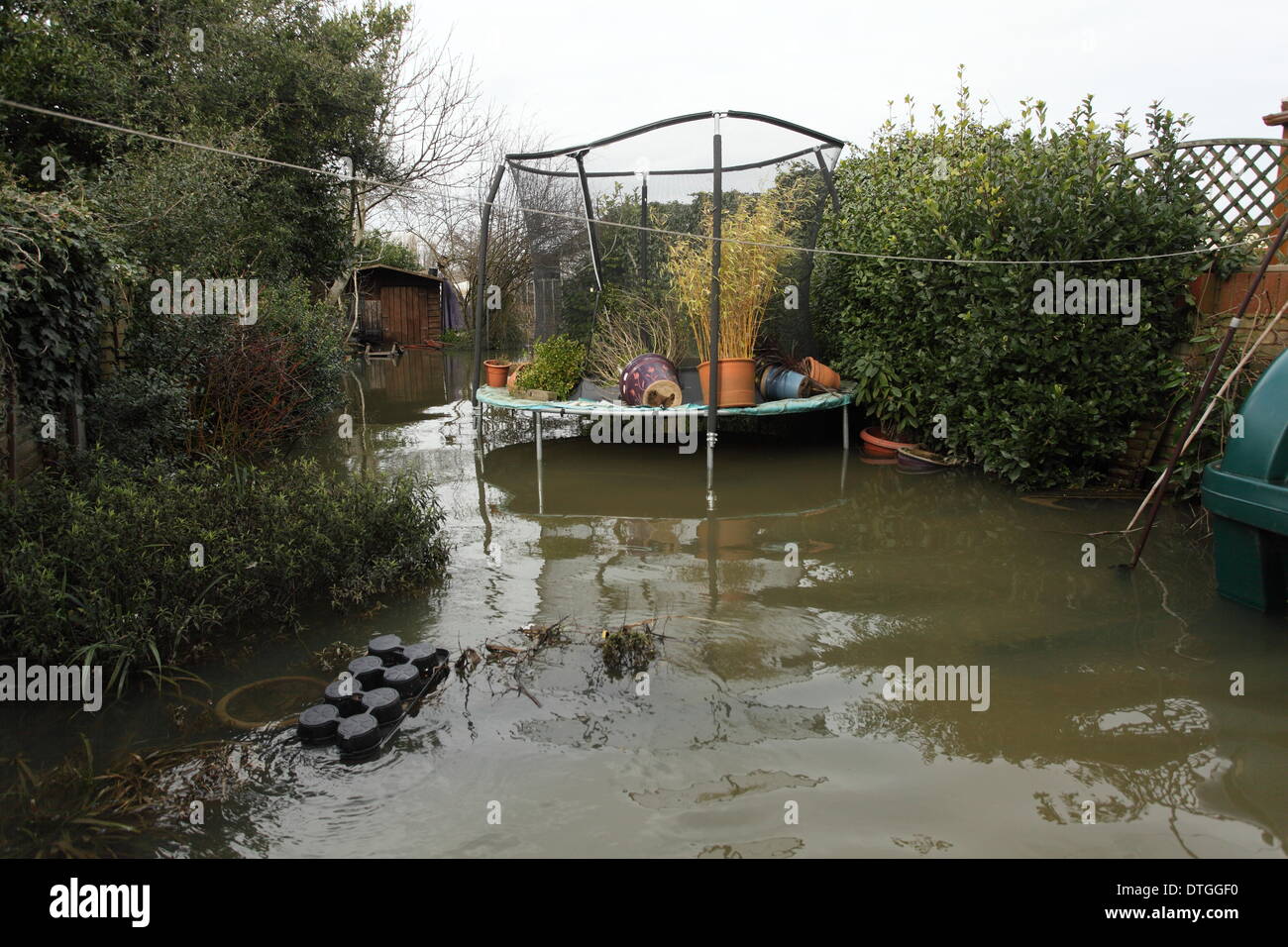 Ham Island, Thames Valley, UK Flood waters surround homes and gardens. Stock Photo