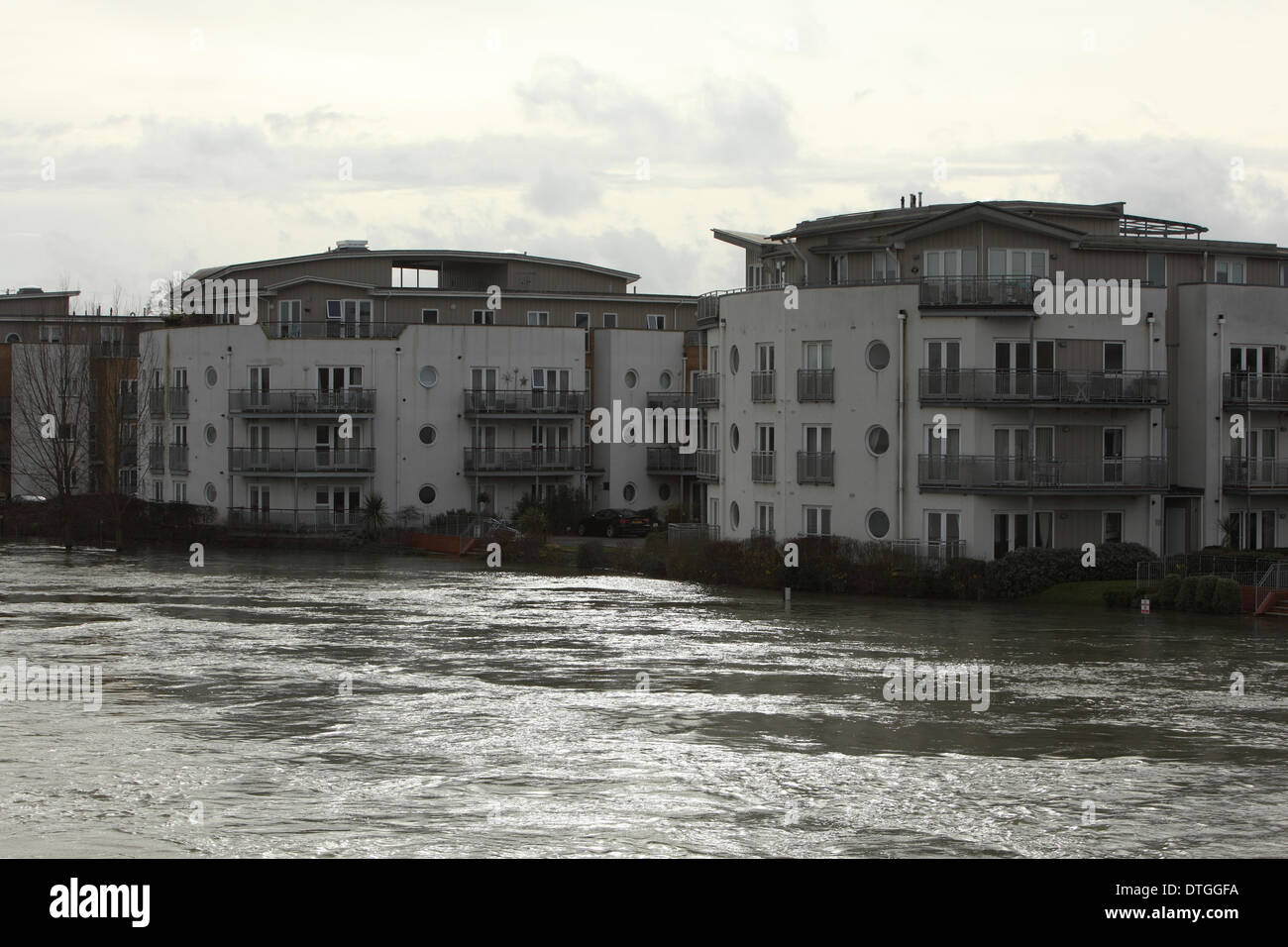Thames Valley, UK . 17th Feb, 2014. High waters on the river Thames near flats on the Chertsey Bridge Road. Flood waters remain high a week after flooding across the Thames valley. UK Credit:  Zute Lightfoot/Alamy Live News Stock Photo