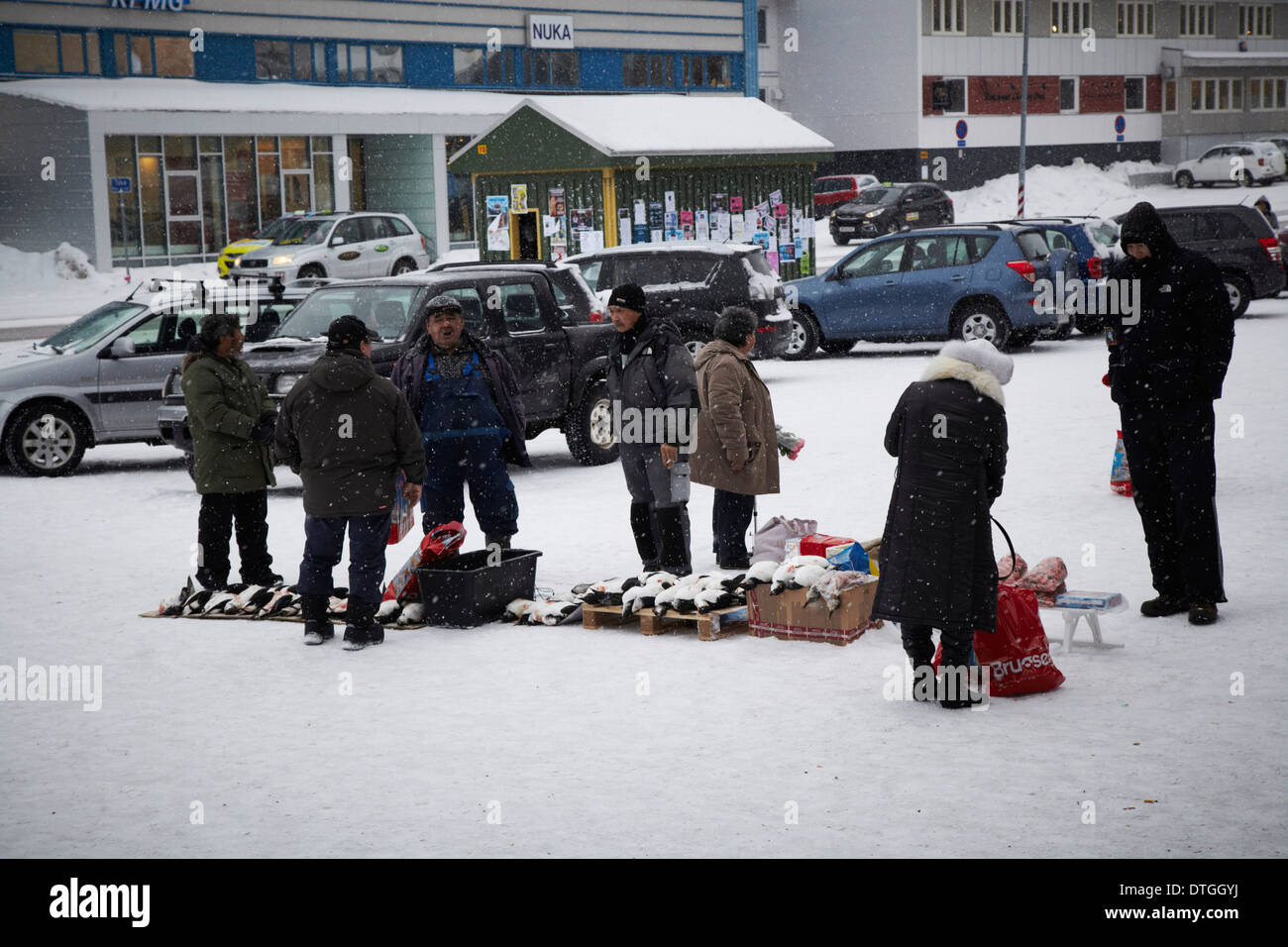A street market in the city of Nuuk. Greenland An Inuit hunter selling guillemots caught earlier that day Stock Photo
