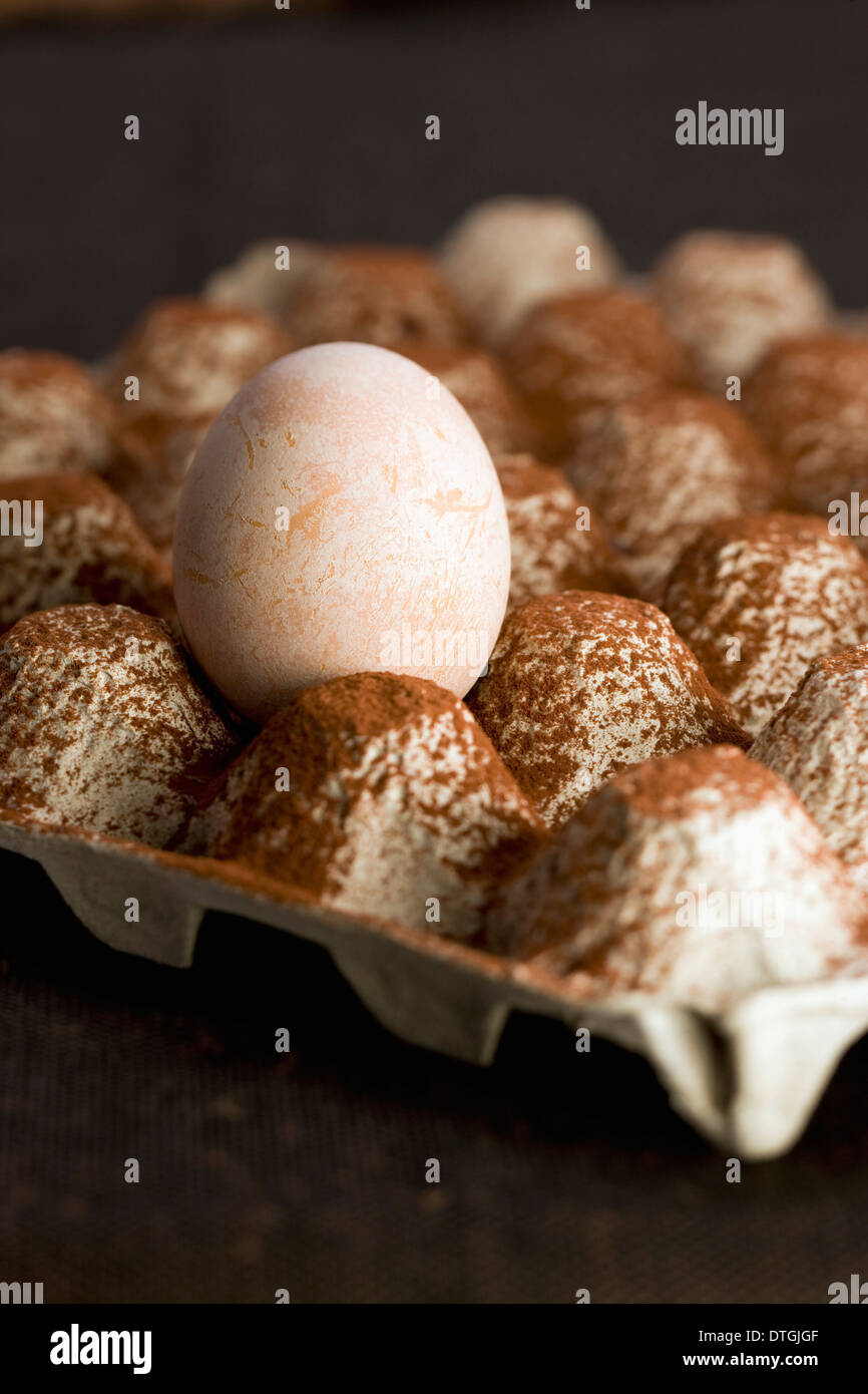 Whole egg on a carton egg tray Stock Photo Alamy