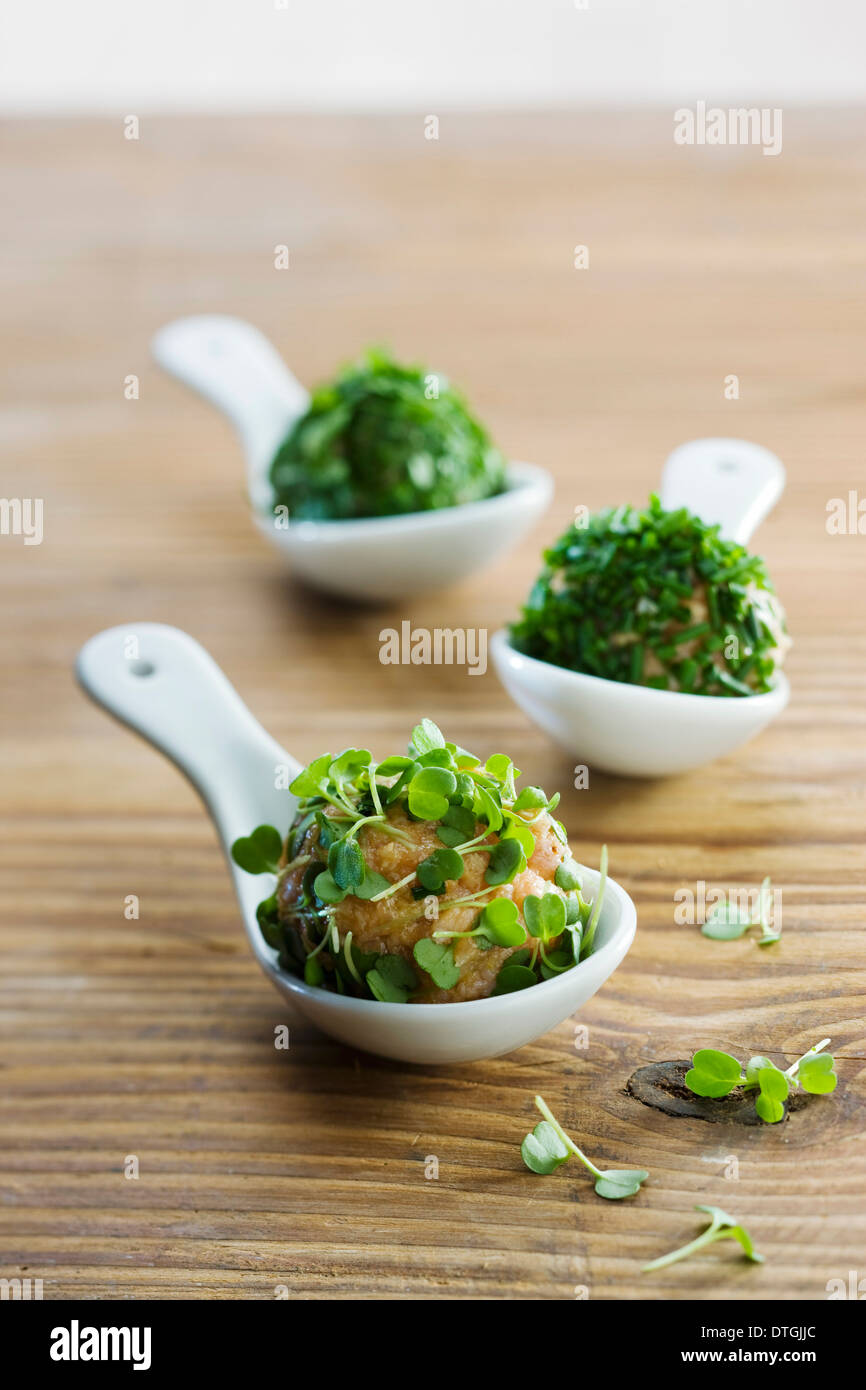 Tartare balls with herbs Stock Photo