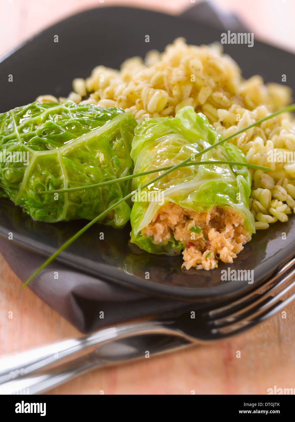 Cabbage leaves stuffed with salmon and buckwheat Stock Photo