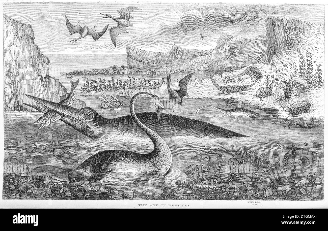 The Age of Reptiles Stock Photo