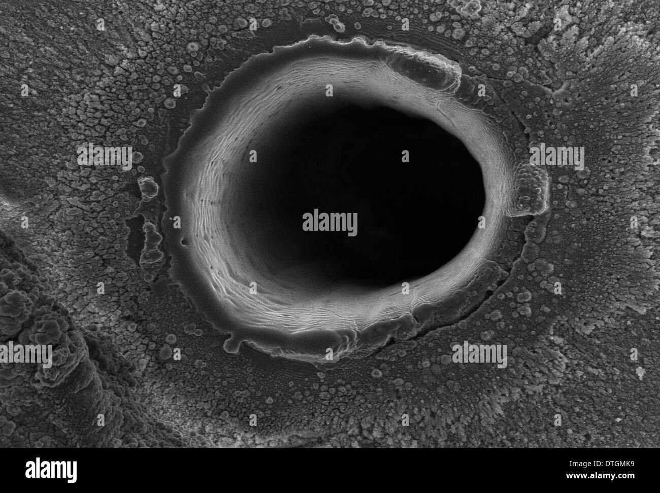Volcanic glass, Pele's hair Stock Photo Alamy